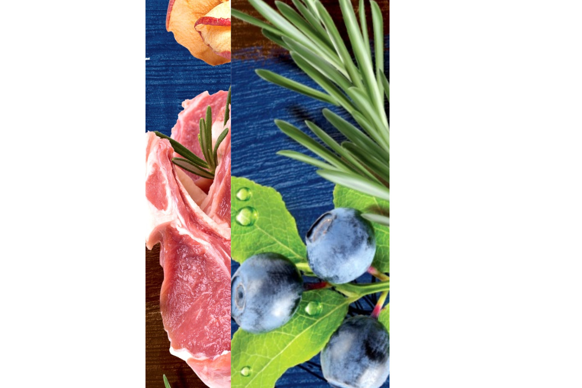 BRIT Premium by Nature Sensitive Lamb and rice - trockenfutter für Hunde - 15kg + 3kg - foto 2