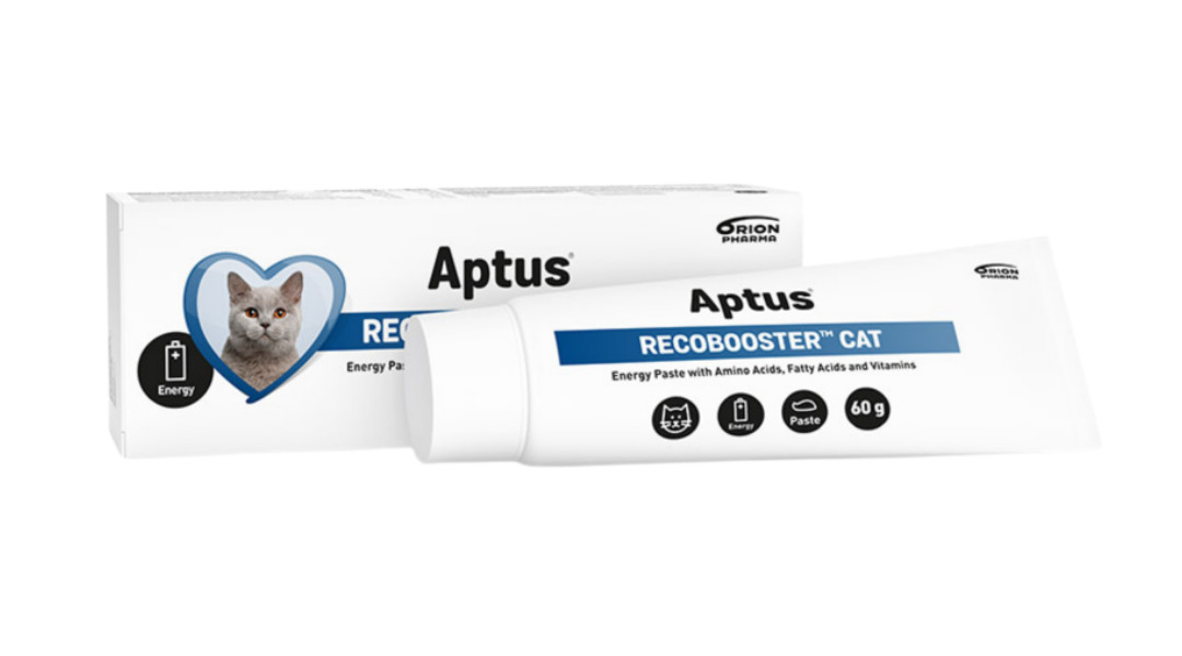 APTUS Recobooster Nutrition and appetite - ergänzungen für katzen – 60g - foto 1