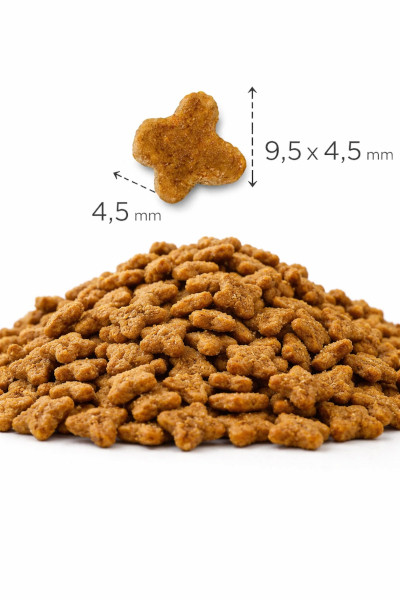 OPTIMANOVA Cat Kitten Chicken & Rice - trockenfutter für Katzen - 2kg - foto 3