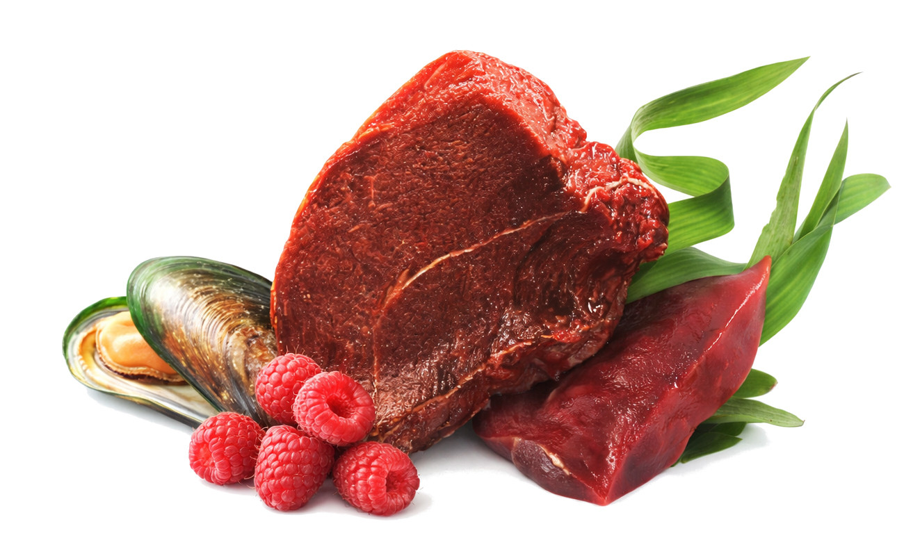 JOHN DOG Berry Line Adult Game with raspberries - Nassfutter für Hunde - 800g - foto 2