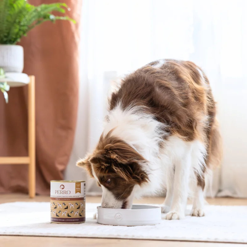 PERRO Turkey with zucchini Monoprotein - Nassfutter für Hunde - 400g - foto 4