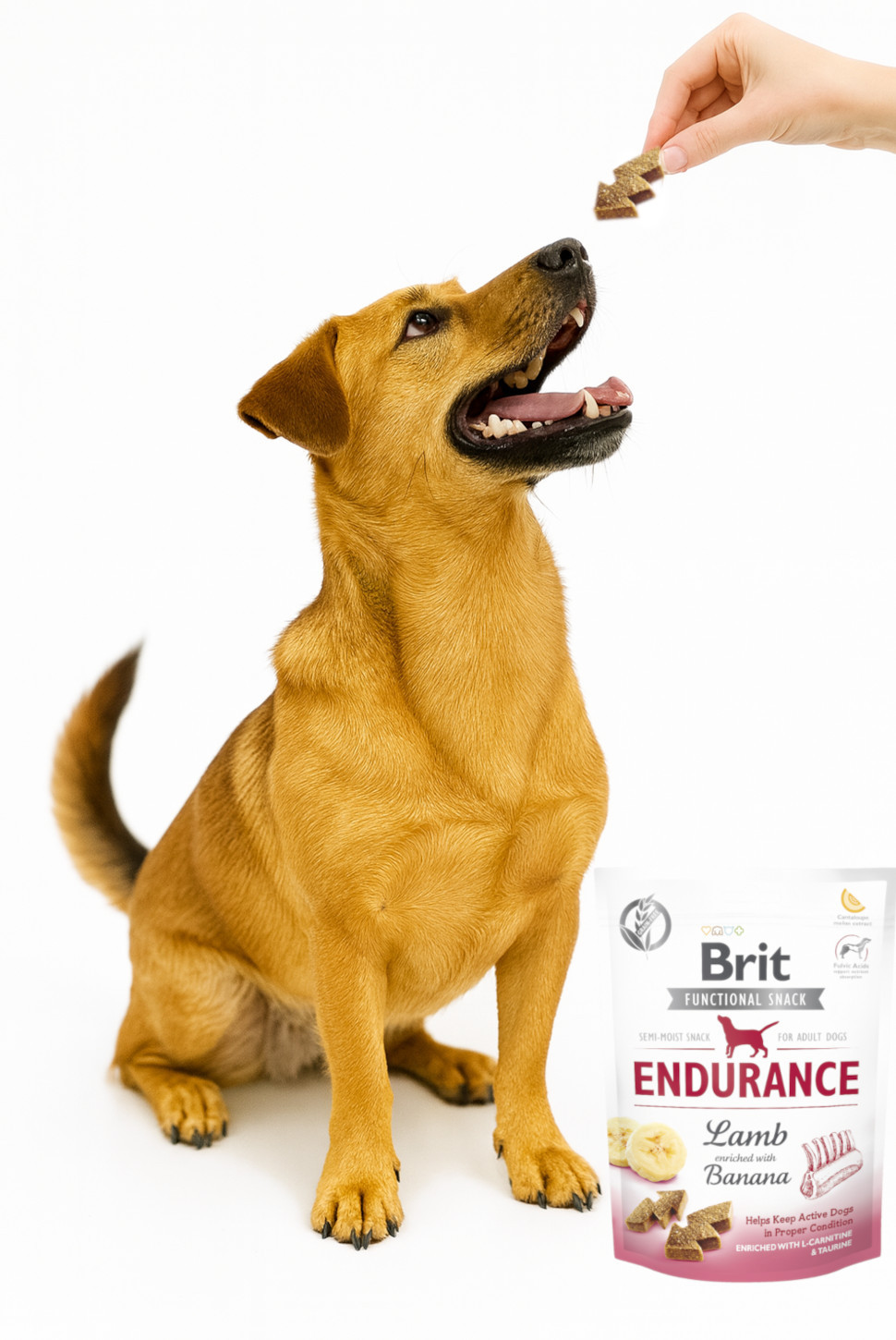 BRIT Care Functional Snack Endurance Lamb - leckerli für hunde - 150g - foto 3