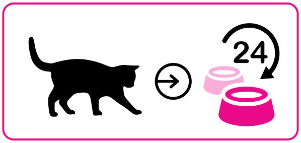 3COTY Cheers! 62. Turkey - nassfutter für Katzen - 160g - foto 4