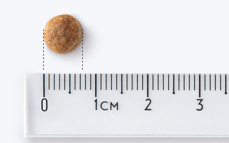 JOHN DOG Good Form Adult Mini Veal with lamb - Trockenfutter für Hunde - 12 kg - foto 3