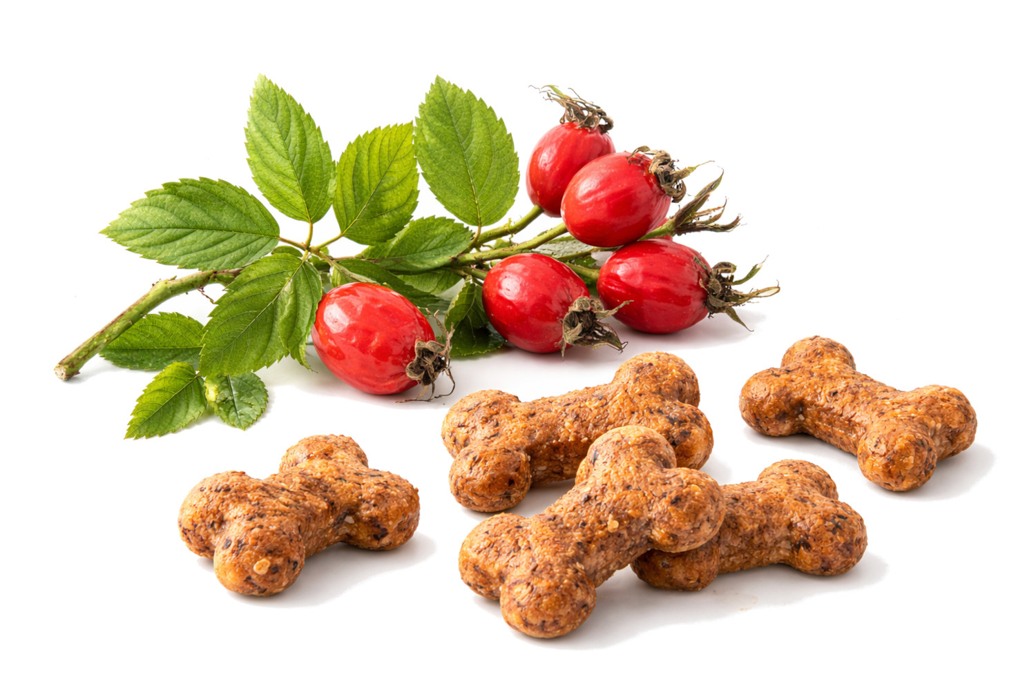 CARNILOVE Fresh Crunchy Wildschwein & Hagebutten mit Frischfleisch - Hundeleckerli - 200 g - foto 3