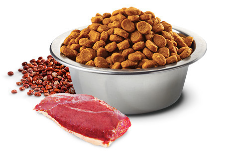 FARMINA N&D CAT QUINOA URINARY DUCK 5 KG - foto 3