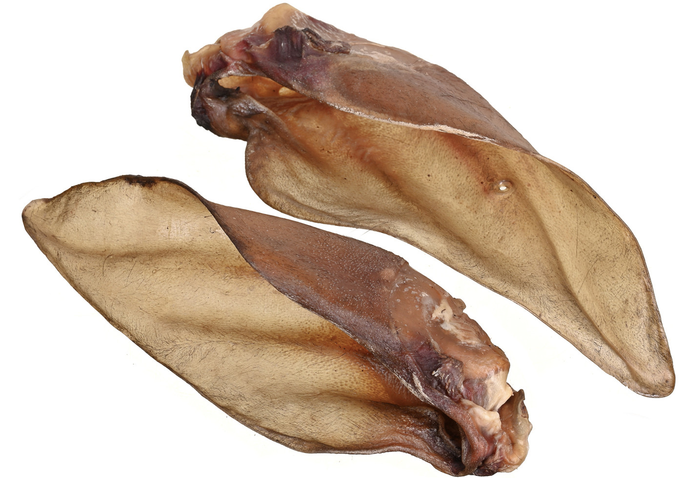 PETITTO Beef ear with cartilage - leckerli für hunde - 10 - foto 2