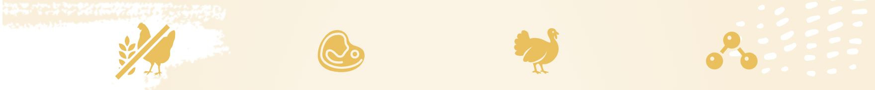 EUPHORIA Fresh Junior Turkey with rabbit XS/S - trockenfutter für Hunde - 500g - foto 1