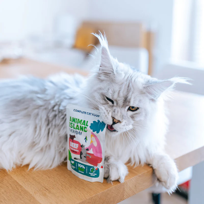 ANIMAL ISLAND Chicken / Beef Fillets in broth - nassfutter für Katzen - 80x85g - foto 2
