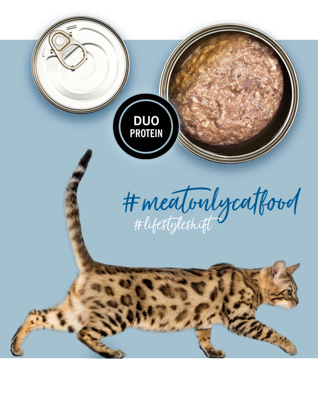 3COTY Turkey with chicken - nassfutter für Katzen - 80g - foto 5