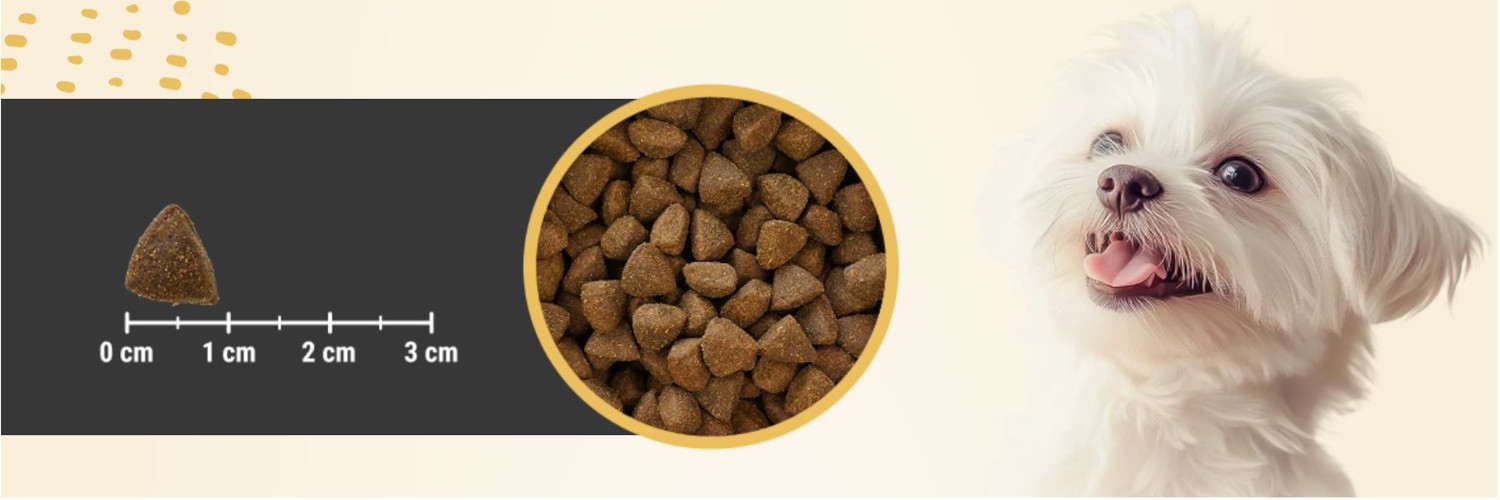 EUPHORIA Fresh Junior Monoprotein Turkey XS/S - trockenfutter für Hunde - 500g - foto 4