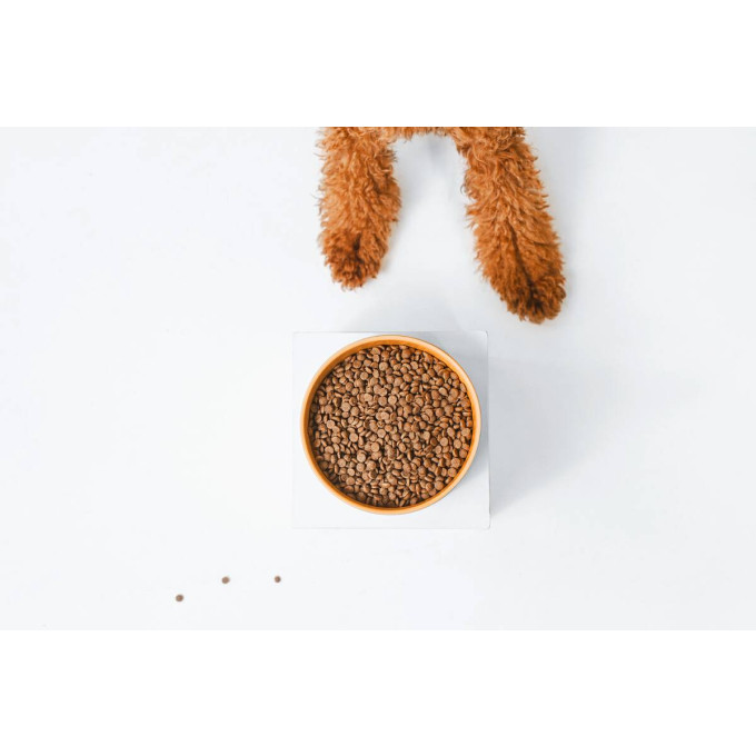 NATURE'S PROTECTION Superior Care Red Coat Adult Small breed Grain free Salmon - trockenfutter für Hunde - 10kg - foto 5