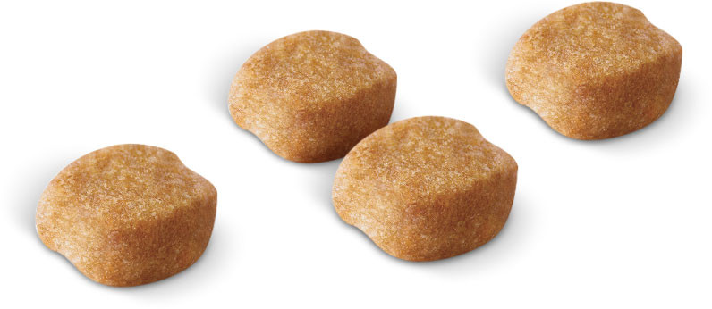 ROYAL CANIN BHN Yorkshire Terrier Adult Trockenfutter für Hunde - 7,5 kg - foto 4