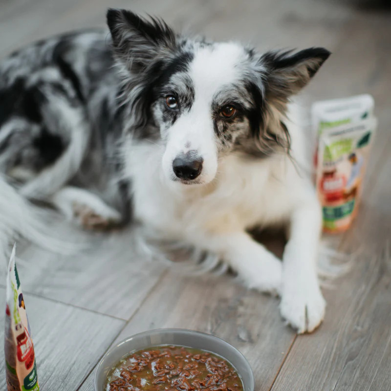 ANIMAL ISLAND Turkey / Beef Fillets in broth - Nassfutter für Hunde - 8x150g - foto 2
