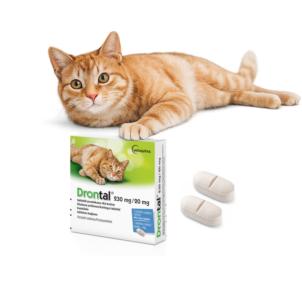 VETOQUINOL Drontal - Antiparasitentabletten für Katzen - 2 Stk. - foto 2