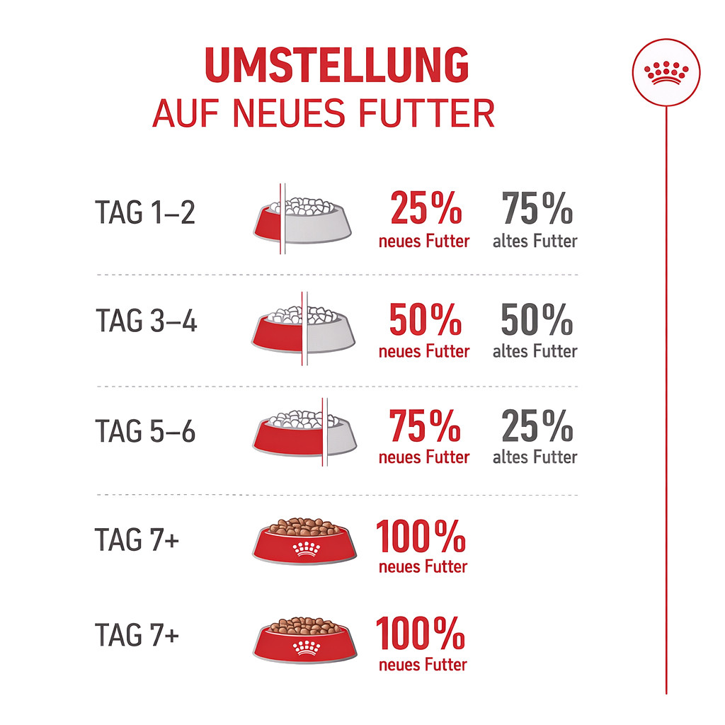 ROYAL CANIN Ageing 11+ - trockenfutter für Katzen - 2kg - foto 7