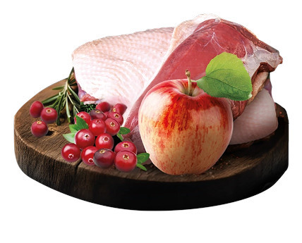 BIOFEED Tasty Dogs Life Duck - Nassfutter für Hunde - 500g - foto 3