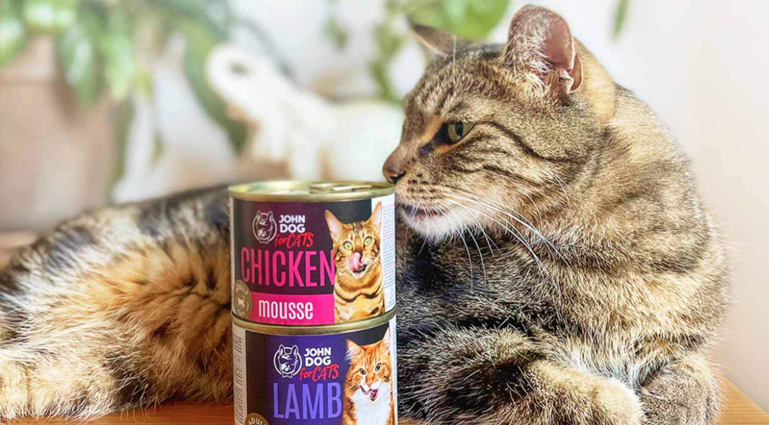JOHN DOG For cats Mousse Chicken - nassfutter für Katzen - 12x200g - foto 2
