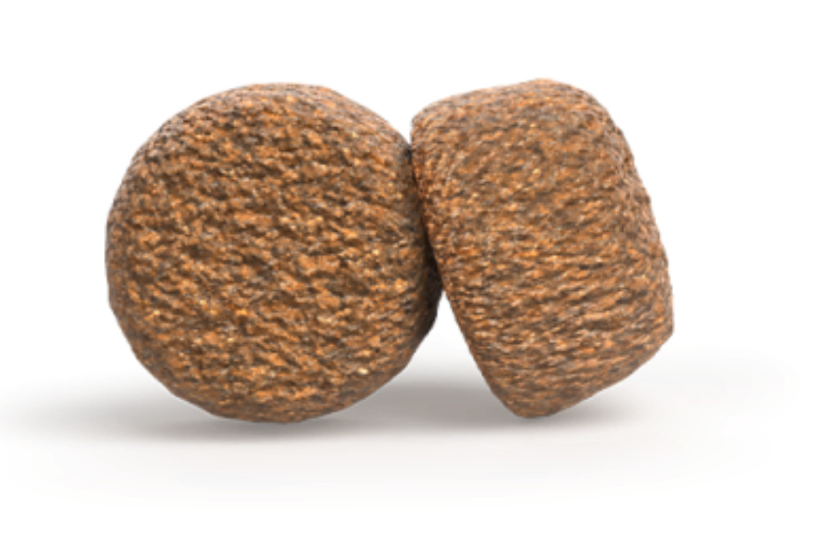 JOSERA Senior Balance - Trockenfutter für Hunde - 900 g - foto 2