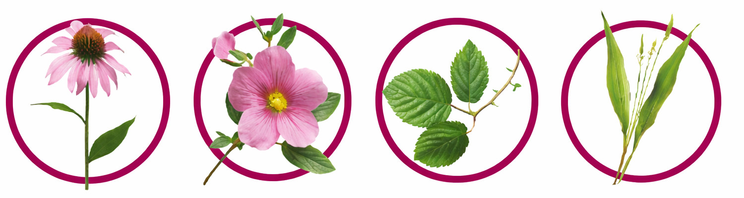 CHAMPER Immuno Monoprotein Turkey - Nassfutter für Hunde - 400g - foto 1