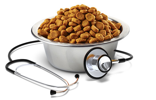 FARMINA VET Life Hypoallergenic Feline Pork & Potato - Trockenfutter für Katzen - 1,5 kg - foto 4