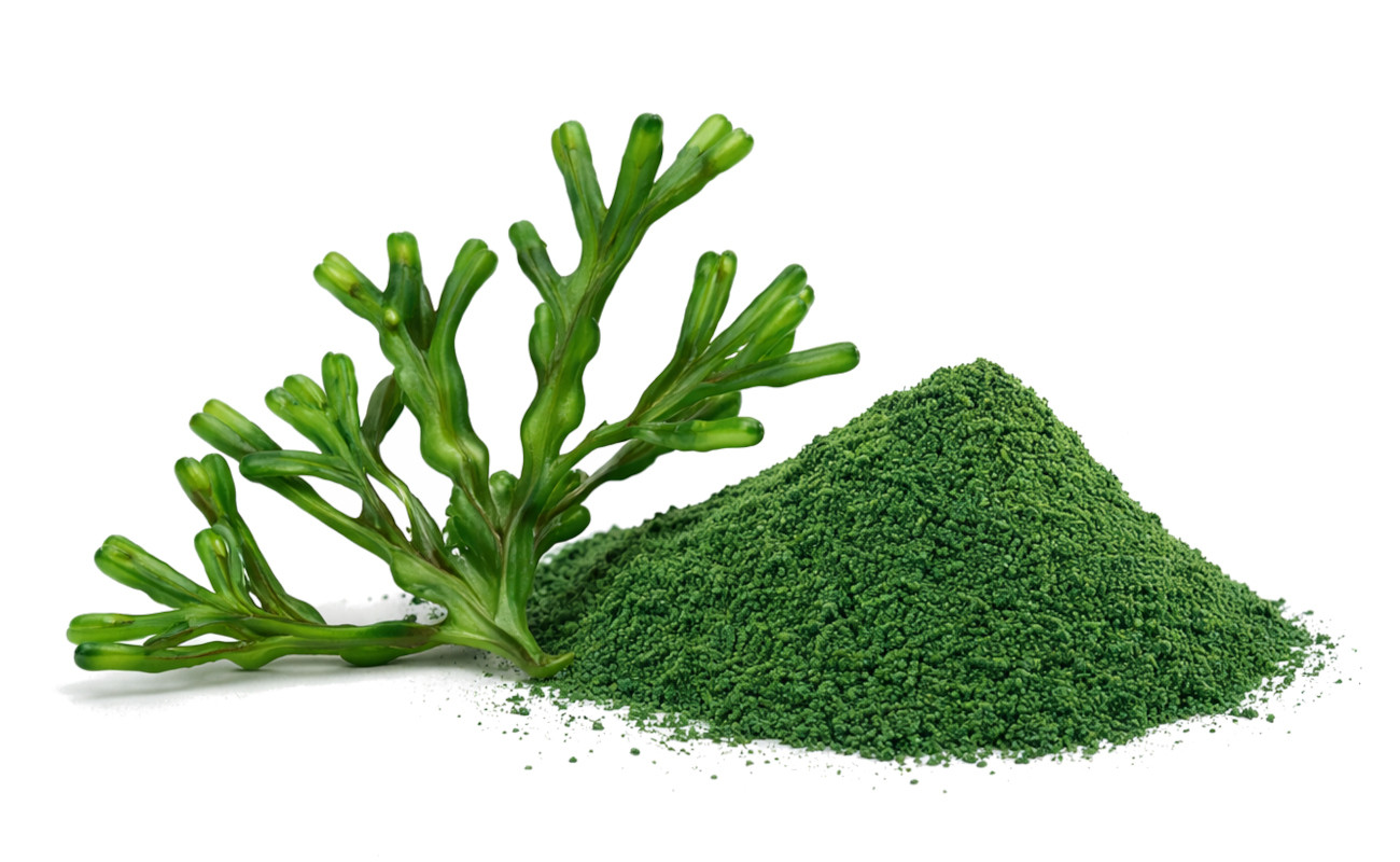 POKUSA RawDietLine Alga - nahrungsergänzungsmittel für hunde und katzen - 1200g - foto 2