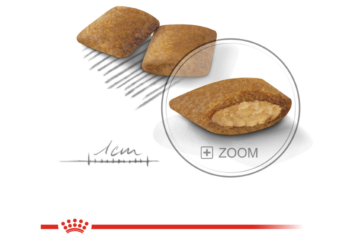 Royal Canin CCN MINI EXIGENT - Trockenfutter für ausgewachsene Hunde - 3kg - foto 2
