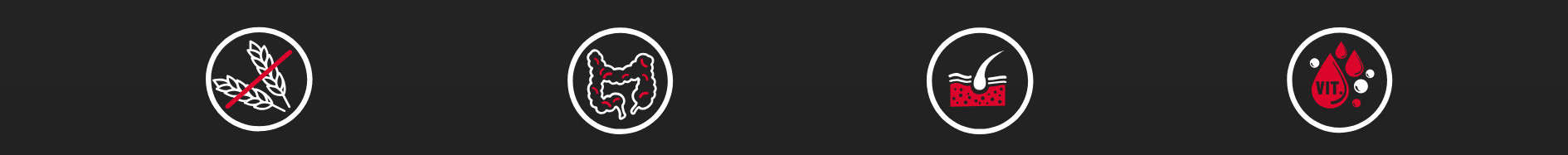 BIOFEED Tasty Dogs Life Beef - Nassfutter für Hunde - 500g - foto 1