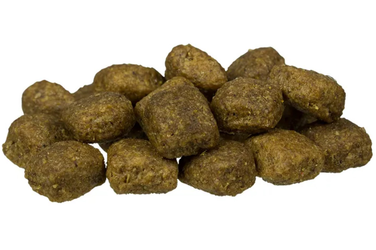 BOSCH Active – Trockenfutter für Hunde – 15 kg - foto 2