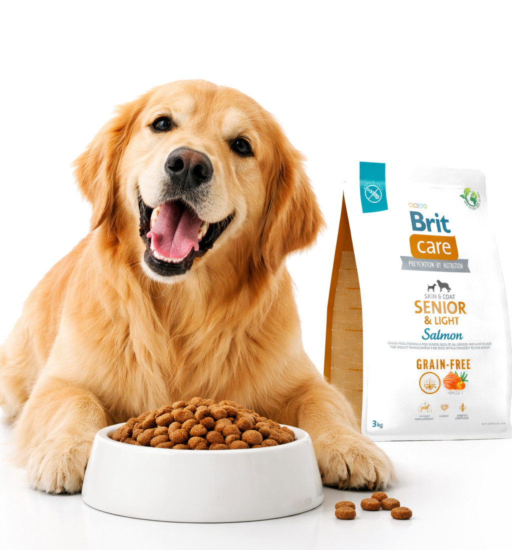BRIT Care Senior&Light Salmon - Trockenfutter für Hunde - 3 kg - foto 3