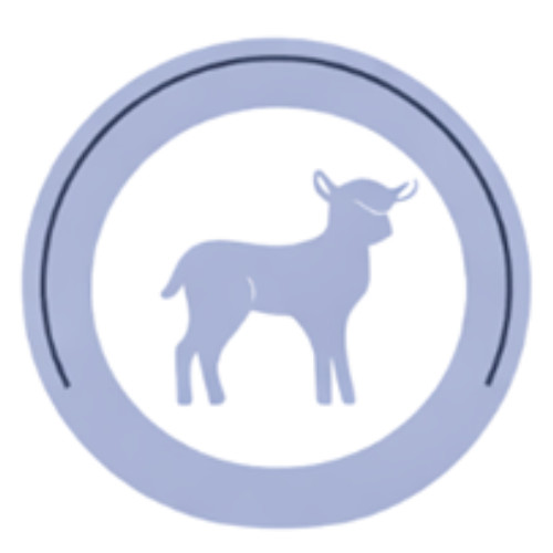 ADDVENA Power of Nature Senior Small Lamb - trockenfutter für Hunde - 10kg - foto 4