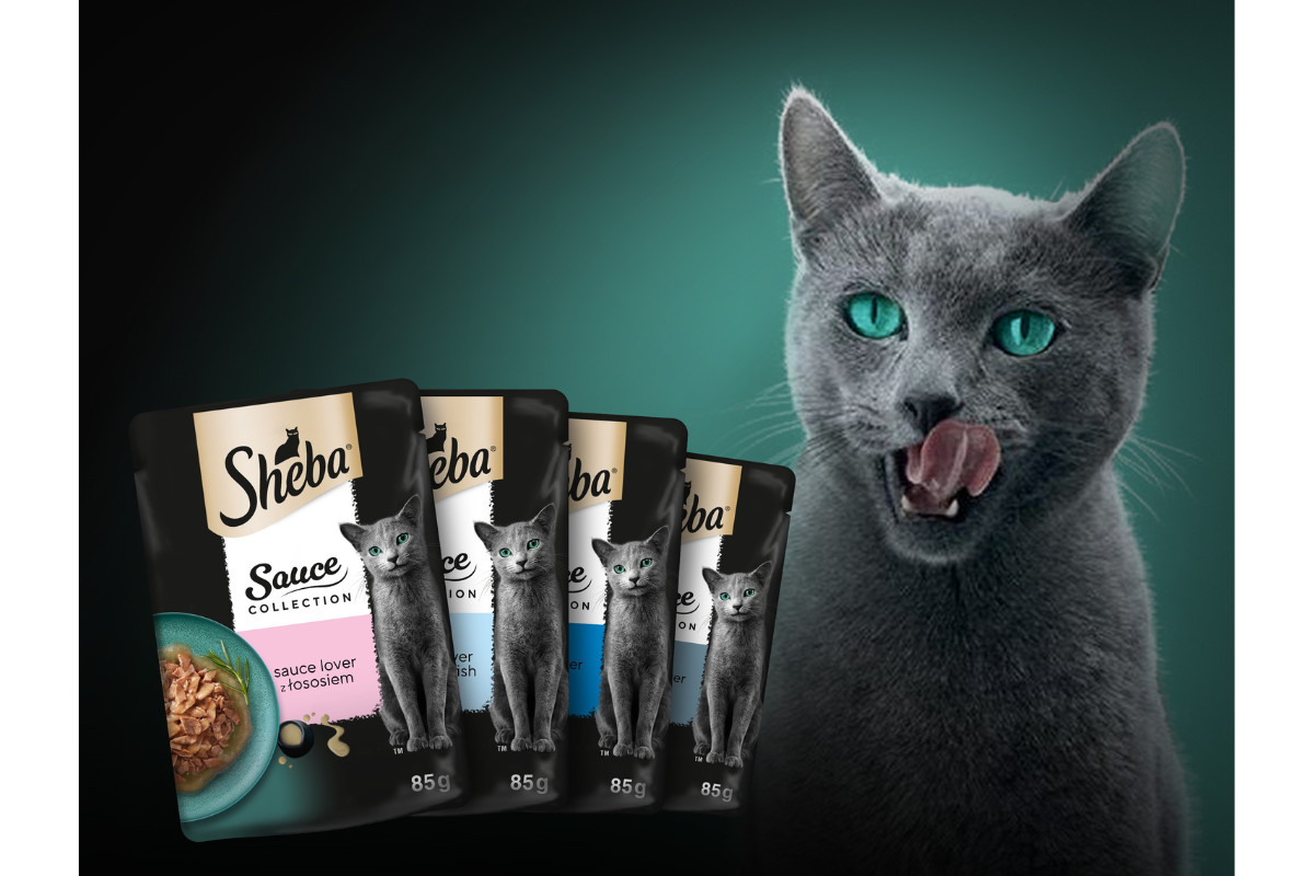 SHEBA Sauce Collection Sammlung von Fischaromen – Nassfutter für Katzen – 40 x 85 g - foto 2