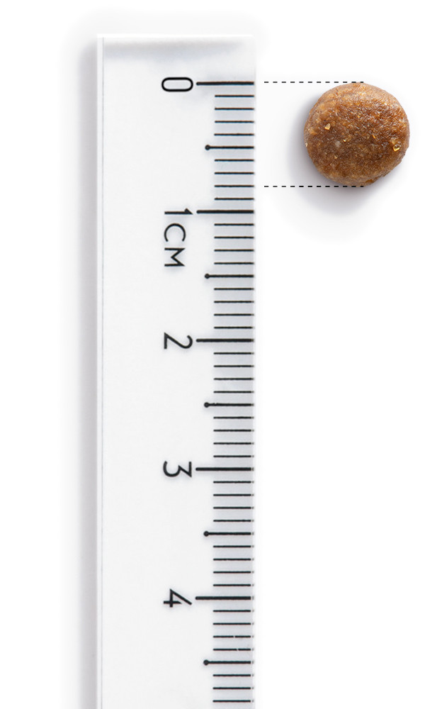 JOHN DOG Good Form Adult Chicken with beef - Trockenfutter für Hunde - 12 kg - foto 2