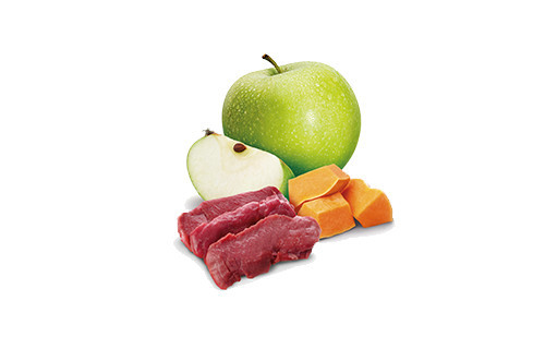 FARMINA N&D CAT VENISON & PUMPKIN 70g - foto 3