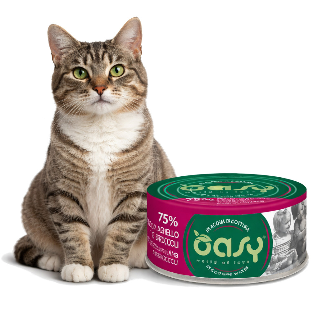 OASY More Love Chicken with lamb and broccoli - nassfutter für Katzen - 70g - foto 2