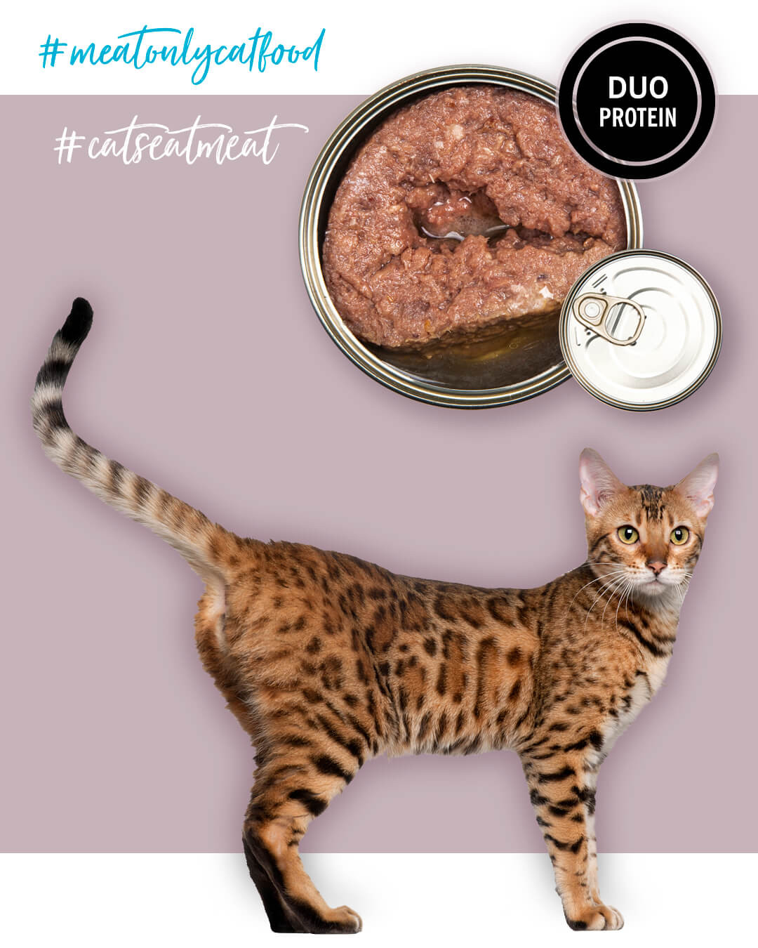 3COTY MIX 4 Geschmacksrichtungen – Nassfutter für Katzen – 24x80g - foto 14