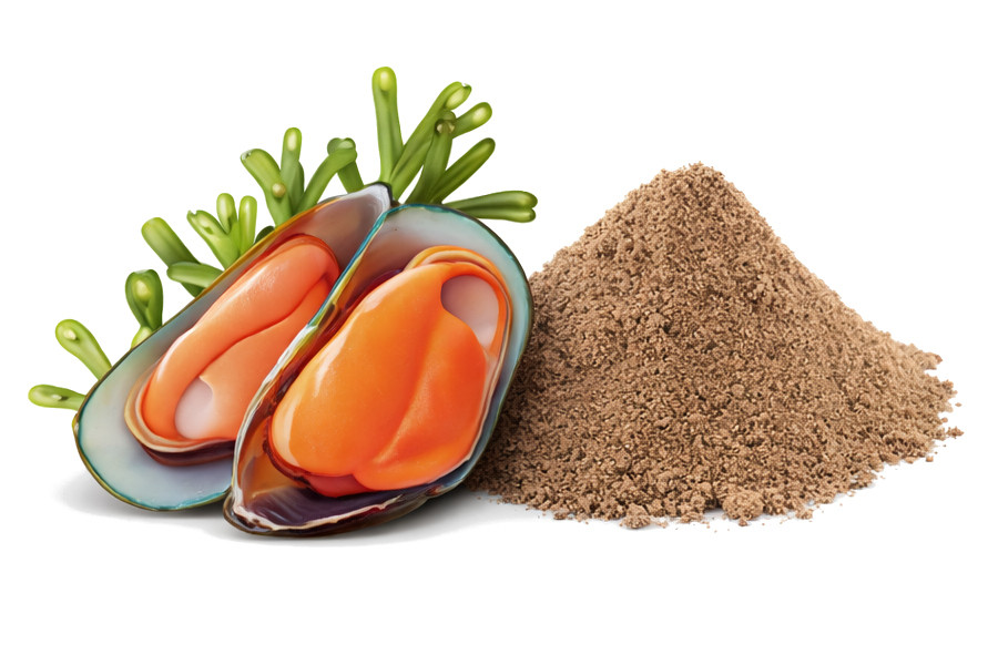 POKUSA RawDietLine Green Lipped Mussel - nahrungsergänzungsmittel für hunde und katzen - 150g - foto 2