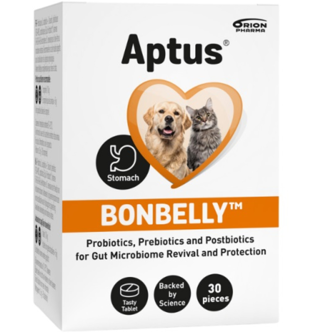 APTUS Bonbelly Verdauungsstörungen – Nahrungsergänzungsmittel für Hunde und Katzen – 30 Stk. + 30 Stk. GRATIS! - foto 3