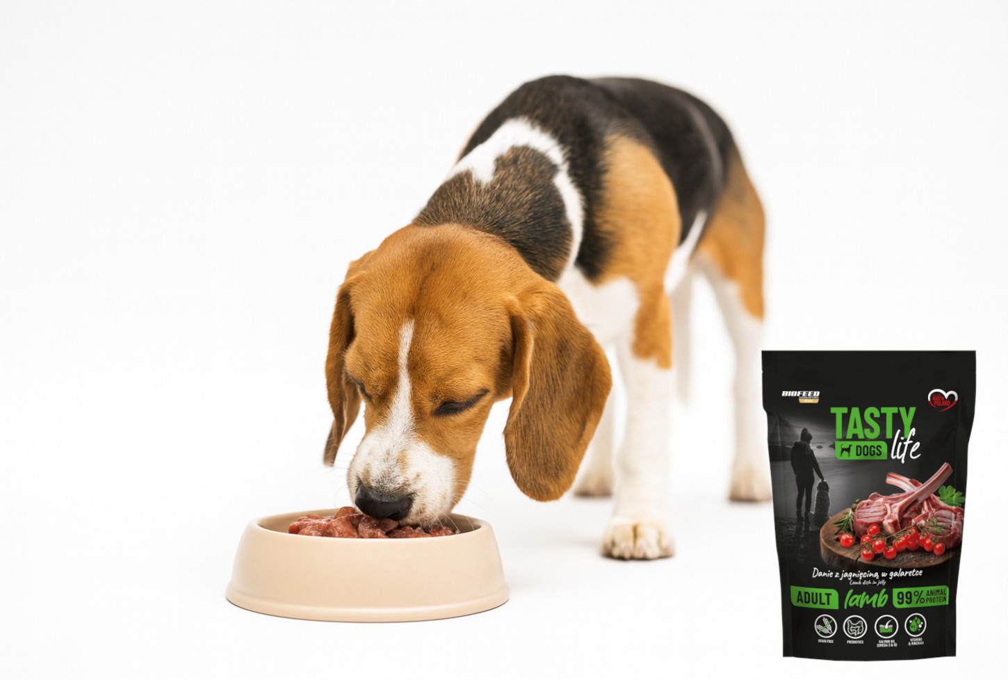 BIOFEED Tasty Dogs Life Lamb - Nassfutter für Hunde - 500g - foto 5