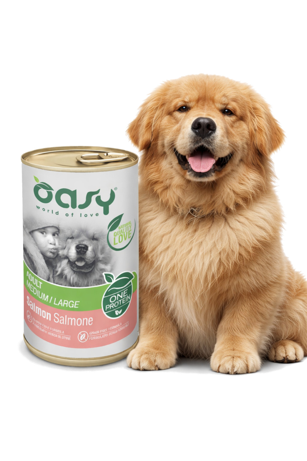OASY One Protein Adult Medium/Large Salmon - Nassfutter für Hunde - 400g - foto 2