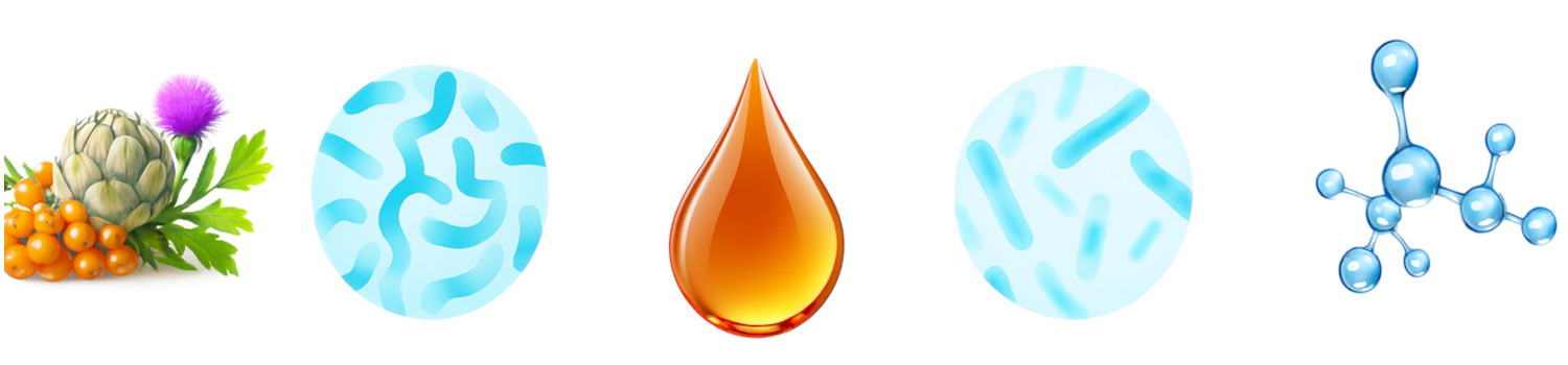 BIOFEED Euphoria Fresh Adult Turkey and lamb XS/S - trockenfutter für Hunde - 500g - foto 5