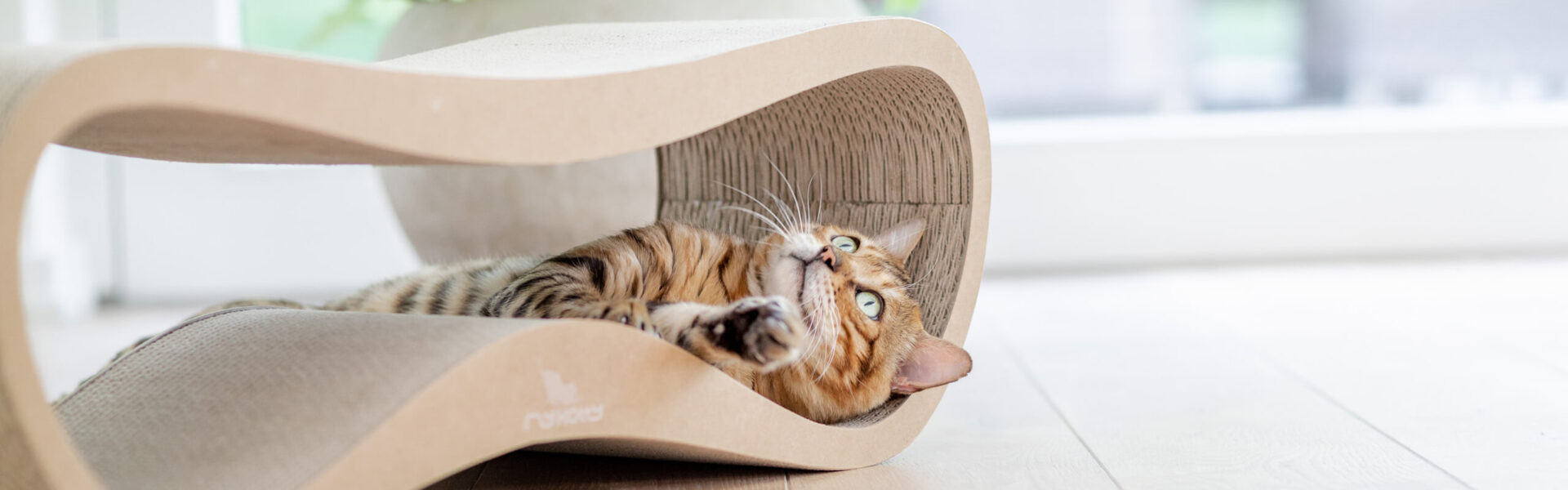 CAT’S BEST NatureGold Katzenstreu 20 l - foto 3