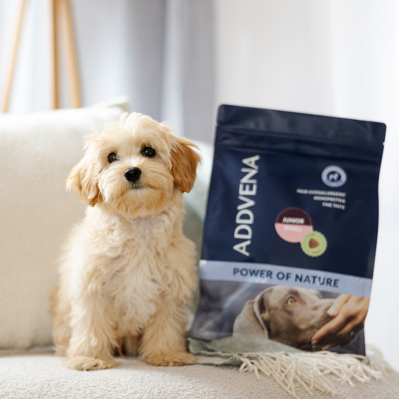 ADDVENA Power of Nature Junior Small Lamb - trockenfutter für Hunde - 10kg - foto 8