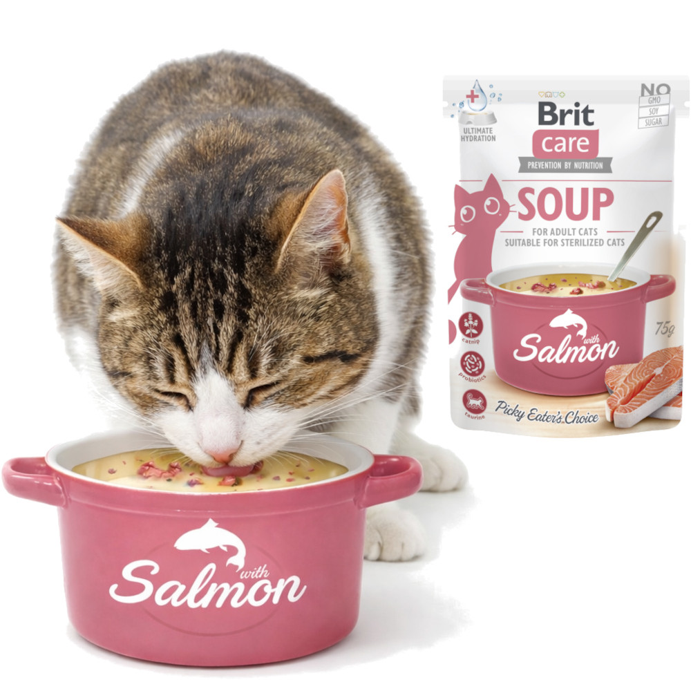 BRIT Care Soup Salmon - Suppe für Katze - 75g - foto 3