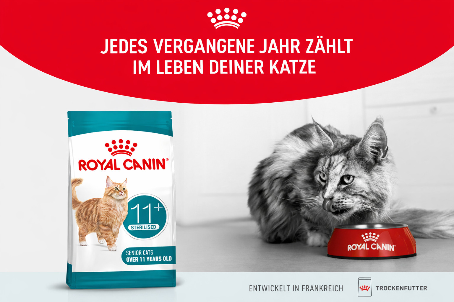 ROYAL CANIN Ageing 11+ Sterilised - trockenfutter für Katzen - 4kg - foto 1