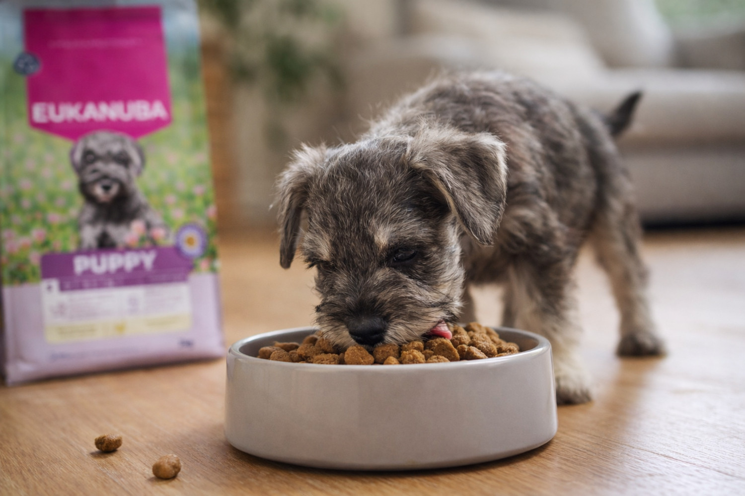 EUKANUBA Puppy Small Rich in chicken - trockenfutter für Hunde - 3kg - foto 4