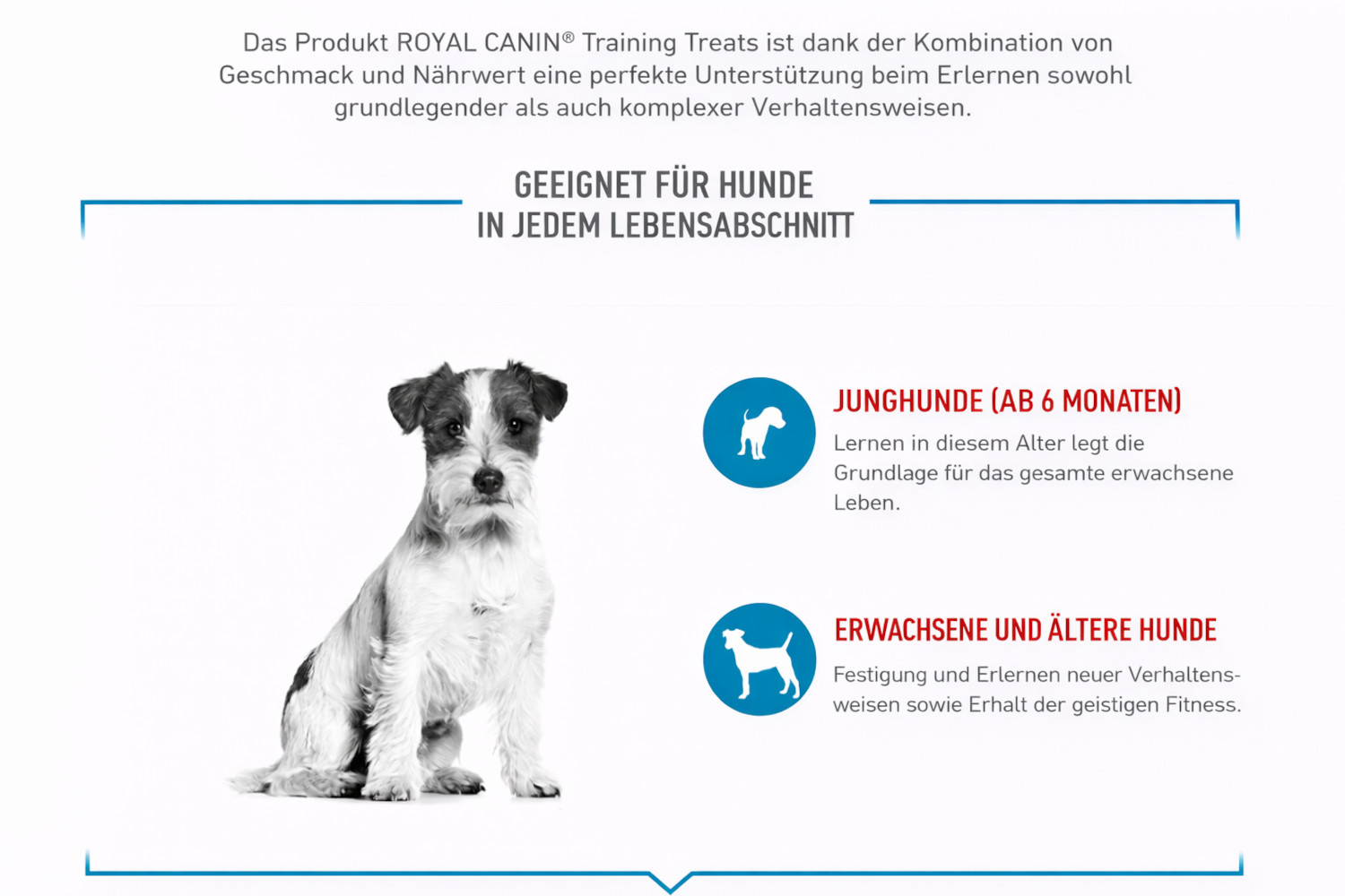 ROYAL CANIN Training Treats – Belohnungsleckerlis für Hunde zur Unterstützung des Trainings - 110 g - foto 4