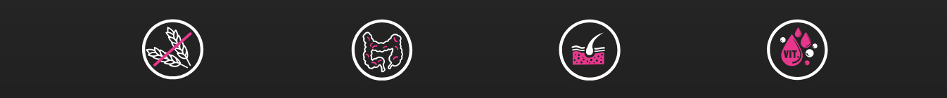 BIOFEED Tasty Dogs Life Pork - Nassfutter für Hunde - 500g - foto 1