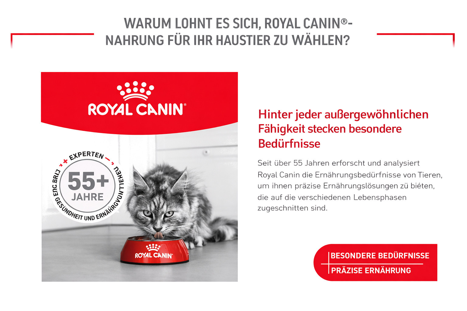 ROYAL CANIN Ageing 11+ Sterilised - trockenfutter für Katzen - 4kg - foto 7