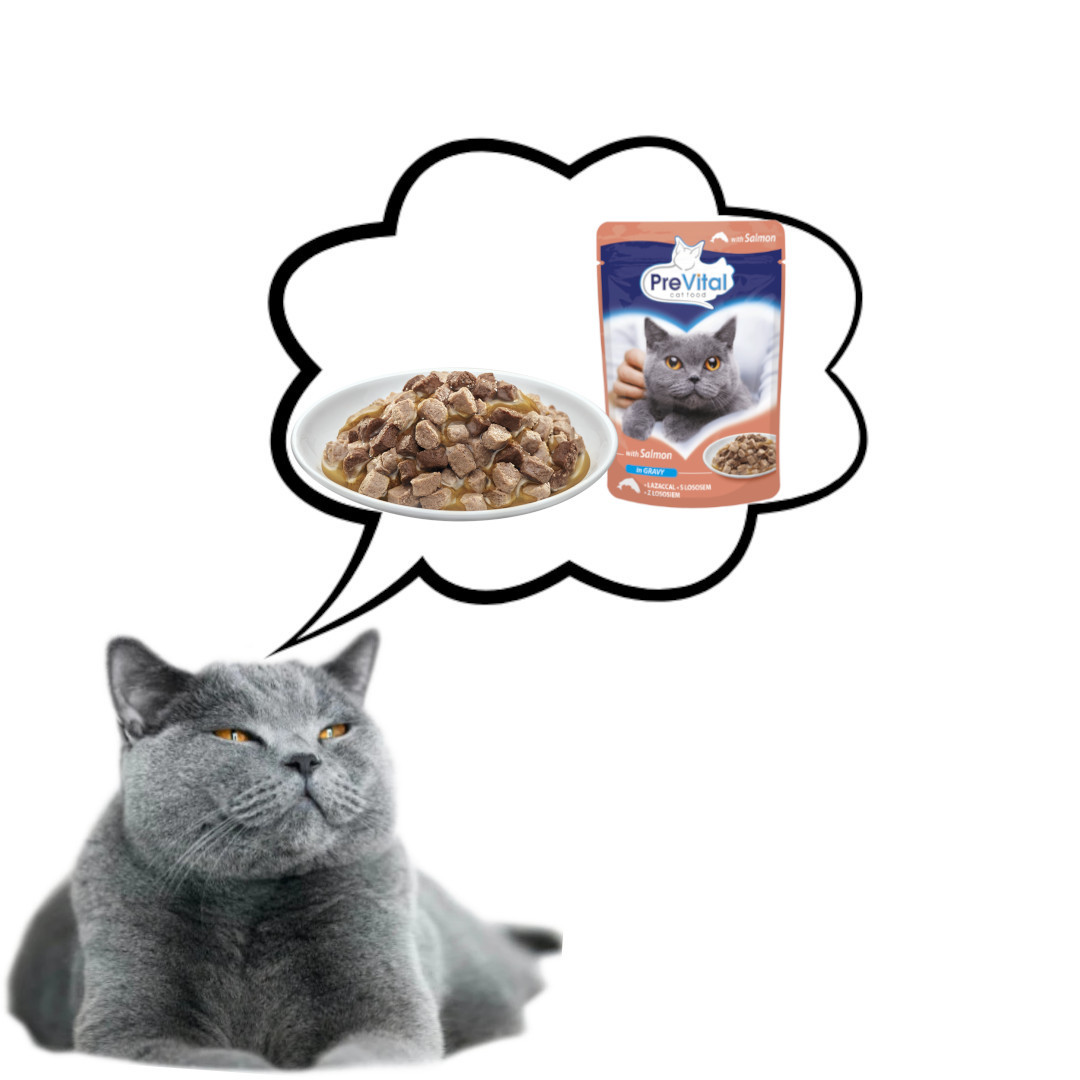 PREVITAL Salmon in gravy - nassfutter für Katzen - 100g - foto 2